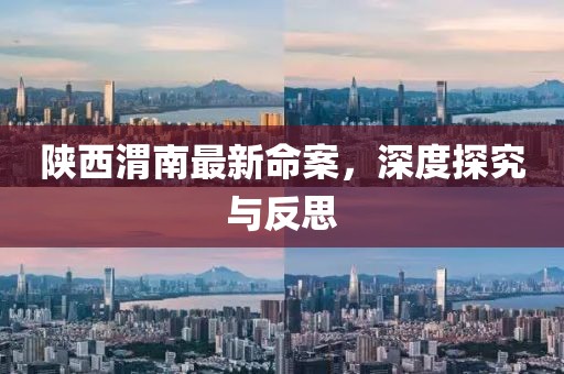 陕西渭南最新命案，深度探究与反思