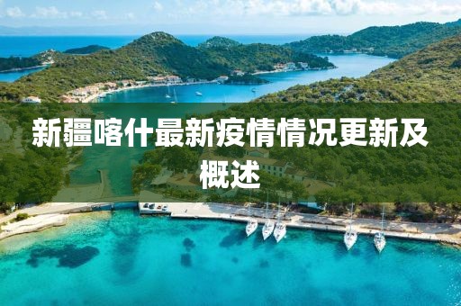 新疆喀什最新疫情情况更新及概述