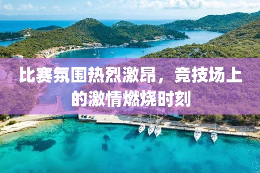 比赛氛围热烈激昂，竞技场上的激情燃烧时刻