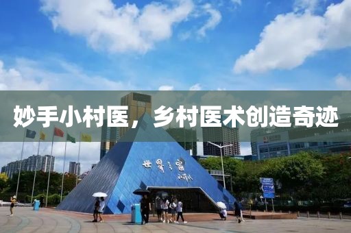 妙手小村医，乡村医术创造奇迹