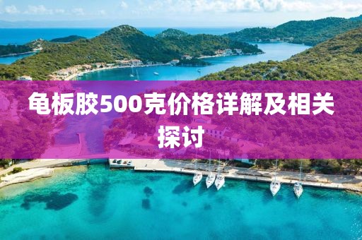 龟板胶500克价格详解及相关探讨