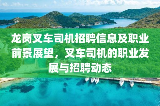 龙岗叉车司机招聘信息及职业前景展望，叉车司机的职业发展与招聘动态