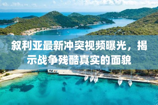 叙利亚最新冲突视频曝光，揭示战争残酷真实的面貌
