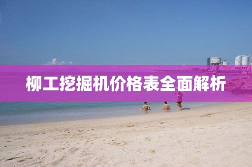 柳工挖掘机价格表全面解析