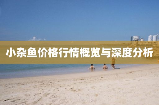 小杂鱼价格行情概览与深度分析