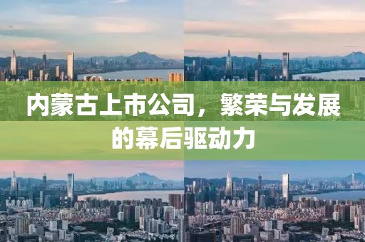内蒙古上市公司，繁荣与发展的幕后驱动力