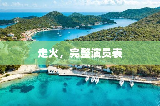 走火，完整演员表
