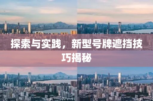 探索与实践，新型号牌遮挡技巧揭秘