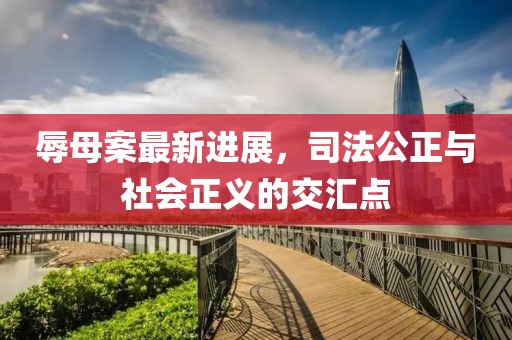 辱母案最新进展，司法公正与社会正义的交汇点