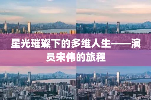 星光璀璨下的多维人生——演员宋伟的旅程