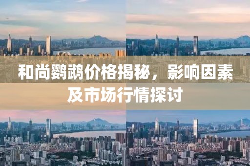 和尚鹦鹉价格揭秘，影响因素及市场行情探讨