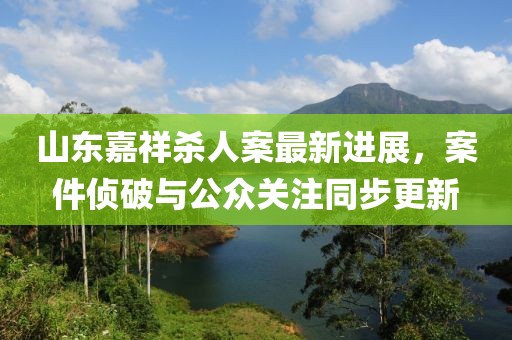 山东嘉祥杀人案最新进展，案件侦破与公众关注同步更新