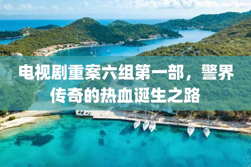电视剧重案六组第一部，警界传奇的热血诞生之路