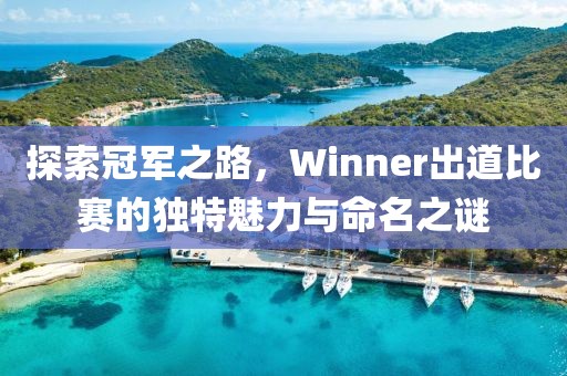 探索冠军之路，Winner出道比赛的独特魅力与命名之谜