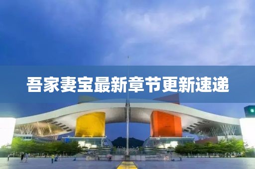 吾家妻宝最新章节更新速递
