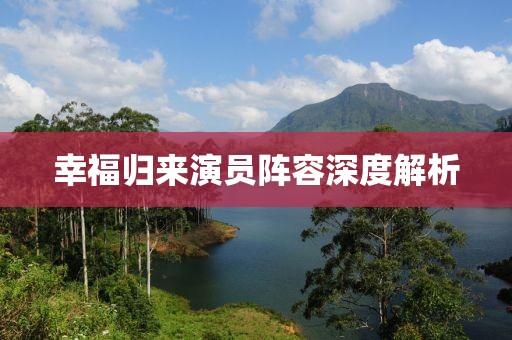 幸福归来演员阵容深度解析