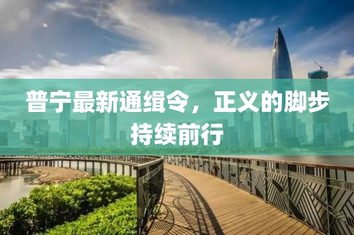 普宁最新通缉令，正义的脚步持续前行