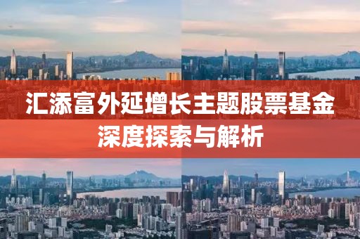汇添富外延增长主题股票基金深度探索与解析