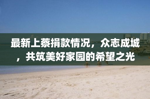 最新上蔡捐款情况，众志成城，共筑美好家园的希望之光