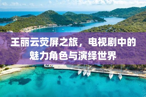 王丽云荧屏之旅，电视剧中的魅力角色与演绎世界