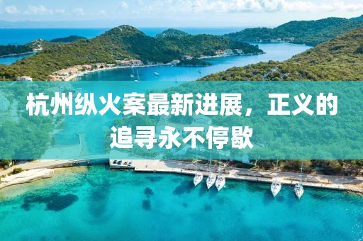 杭州纵火案最新进展，正义的追寻永不停歇