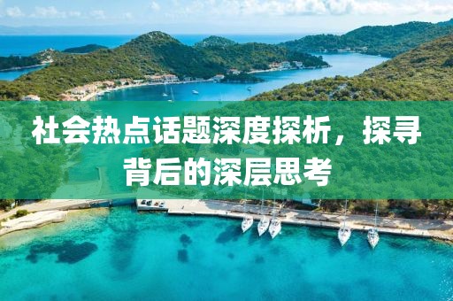 社会热点话题深度探析，探寻背后的深层思考