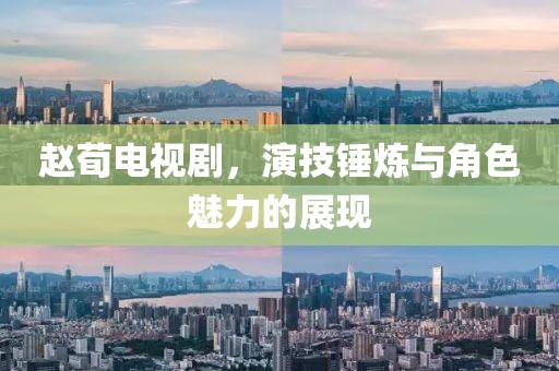赵荀电视剧，演技锤炼与角色魅力的展现