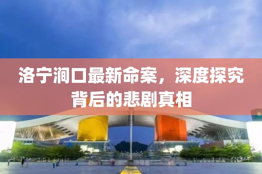 洛宁涧口最新命案，深度探究背后的悲剧真相