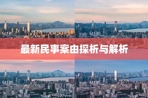 最新民事案由探析与解析