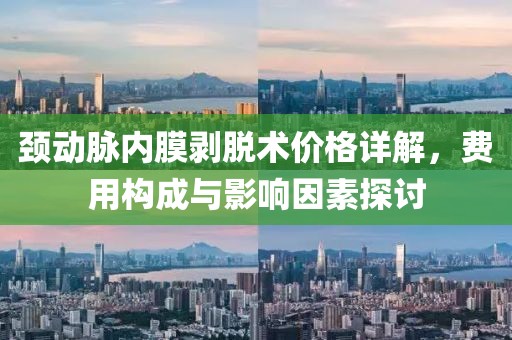 颈动脉内膜剥脱术价格详解，费用构成与影响因素探讨