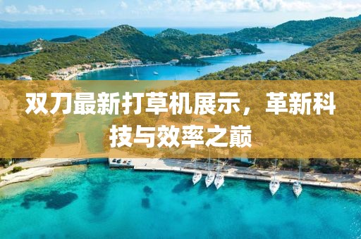 双刀最新打草机展示，革新科技与效率之巅