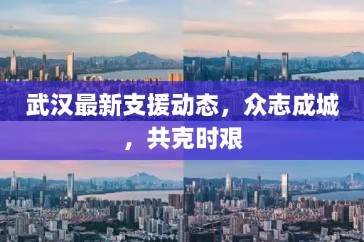 武汉最新支援动态，众志成城，共克时艰