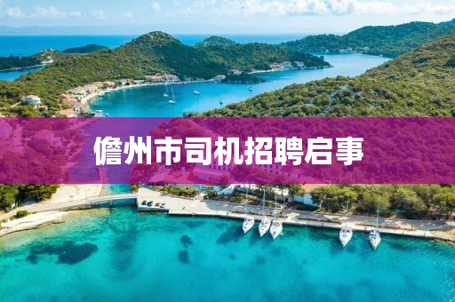 儋州市司机招聘启事