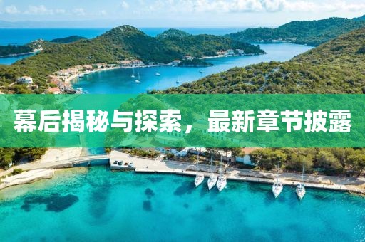 幕后揭秘与探索，最新章节披露
