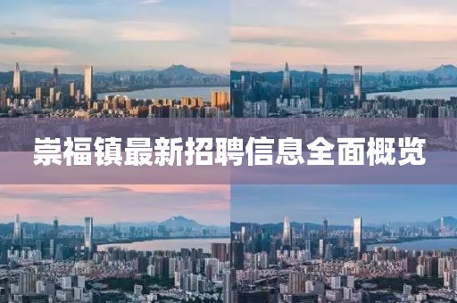 崇福镇最新招聘信息全面概览