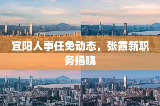宜阳人事任免动态，张霞新职务揭晓