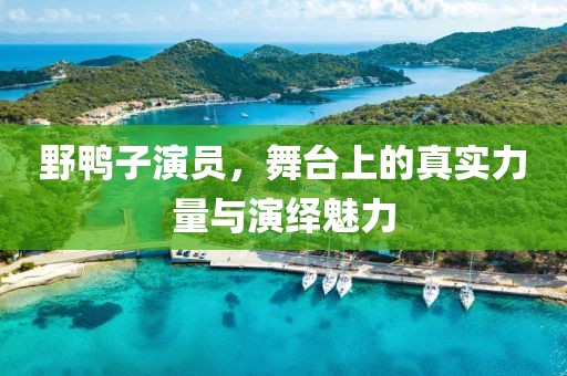 野鸭子演员，舞台上的真实力量与演绎魅力