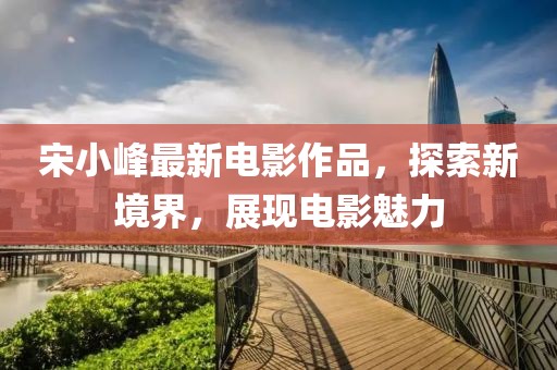 宋小峰最新电影作品，探索新境界，展现电影魅力