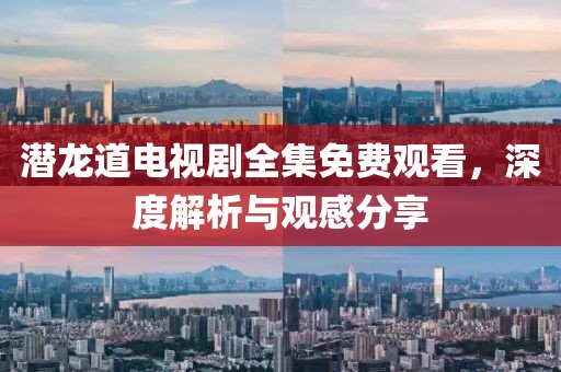 潜龙道电视剧全集免费观看，深度解析与观感分享