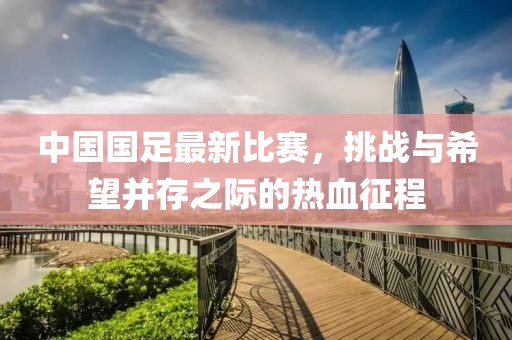 中国国足最新比赛，挑战与希望并存之际的热血征程