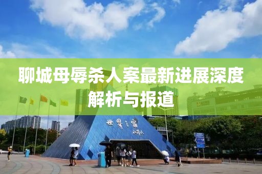 聊城母辱杀人案最新进展深度解析与报道