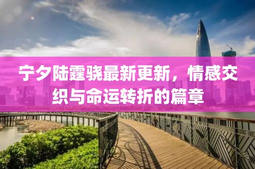 宁夕陆霆骁最新更新，情感交织与命运转折的篇章