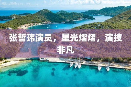 张哲玮演员，星光熠熠，演技非凡