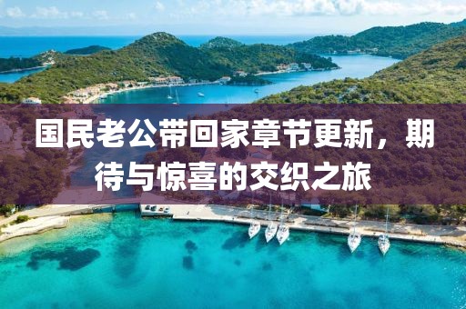 国民老公带回家章节更新，期待与惊喜的交织之旅
