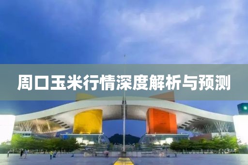 周口玉米行情深度解析与预测