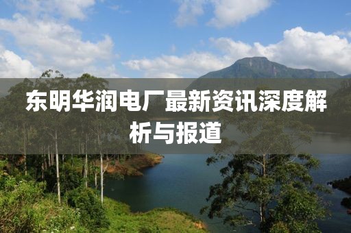 东明华润电厂最新资讯深度解析与报道