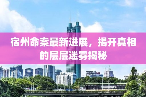 宿州命案最新进展，揭开真相的层层迷雾揭秘