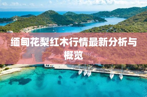 缅甸花梨红木行情最新分析与概览