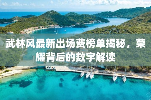 武林风最新出场费榜单揭秘，荣耀背后的数字解读