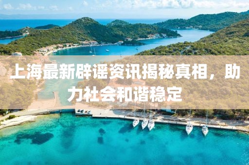 上海最新辟谣资讯揭秘真相，助力社会和谐稳定